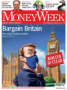 Renewable investing: who is paying for the green revolution? | MoneyWeek